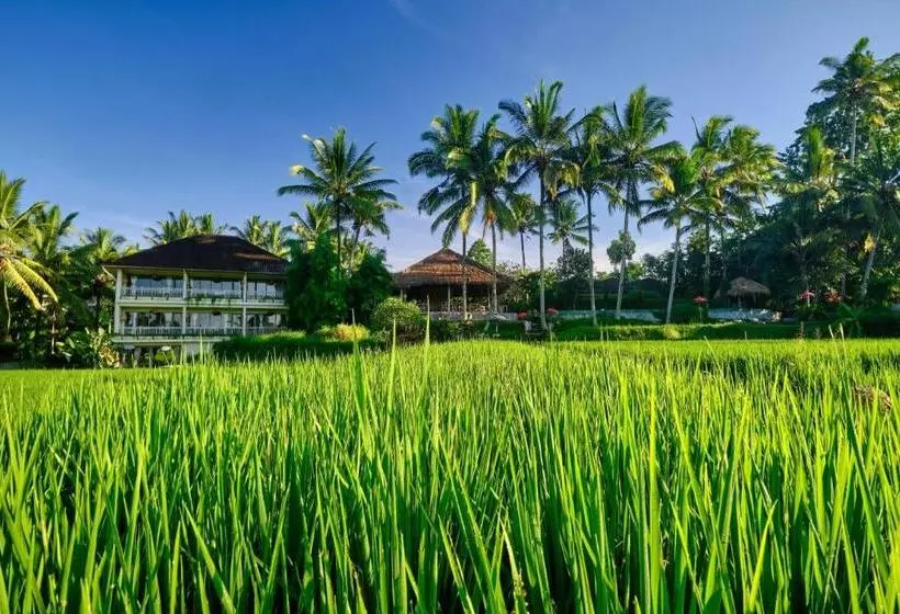 酒店 Mathis Retreat Ubud