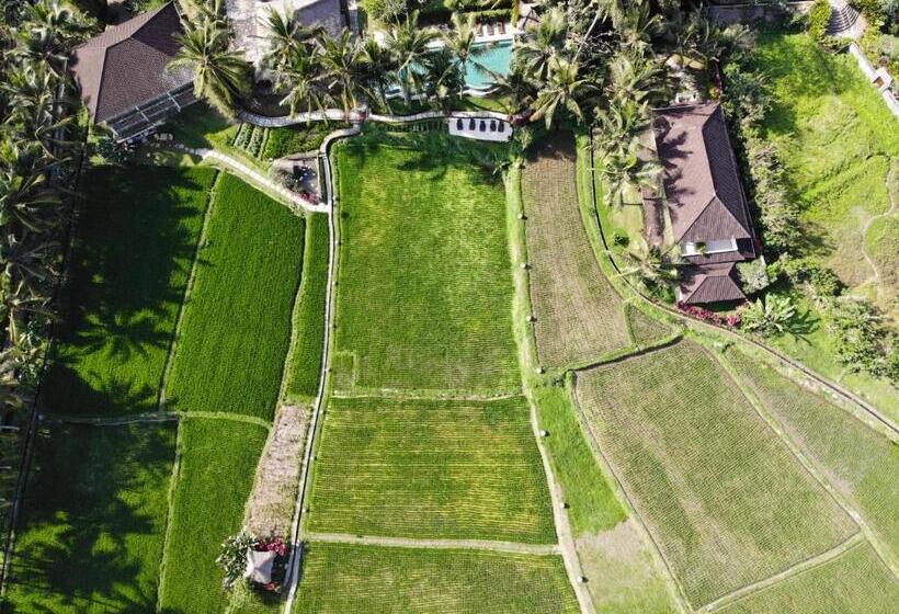 酒店 Mathis Retreat Ubud