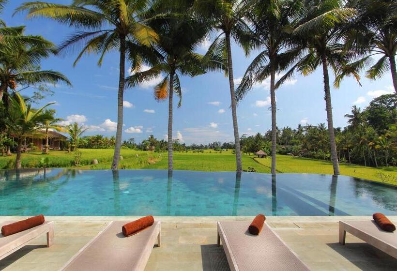 酒店 Mathis Retreat Ubud