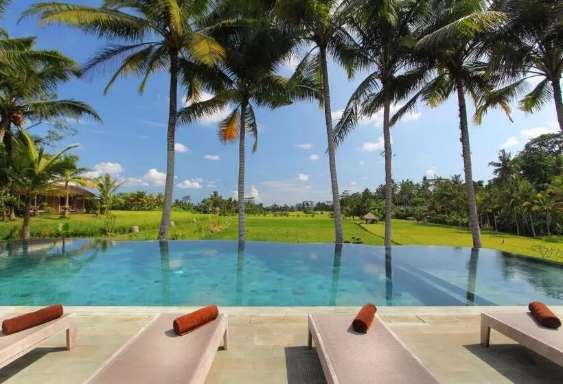 酒店 Mathis Retreat Ubud