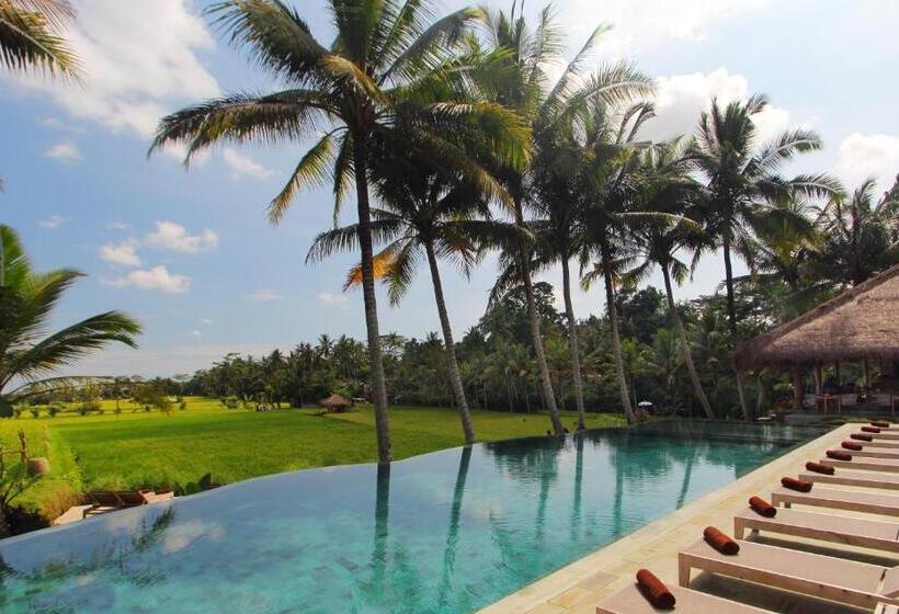 酒店 Mathis Retreat Ubud