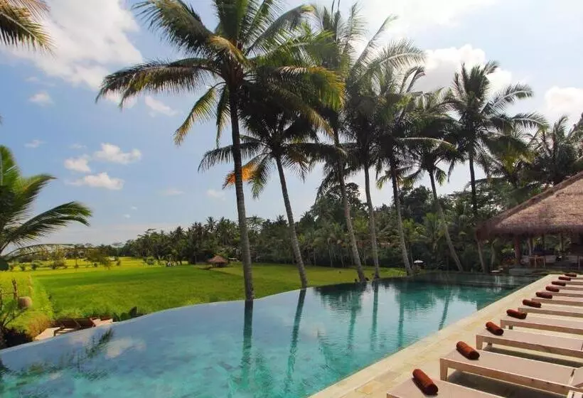 酒店 Mathis Retreat Ubud