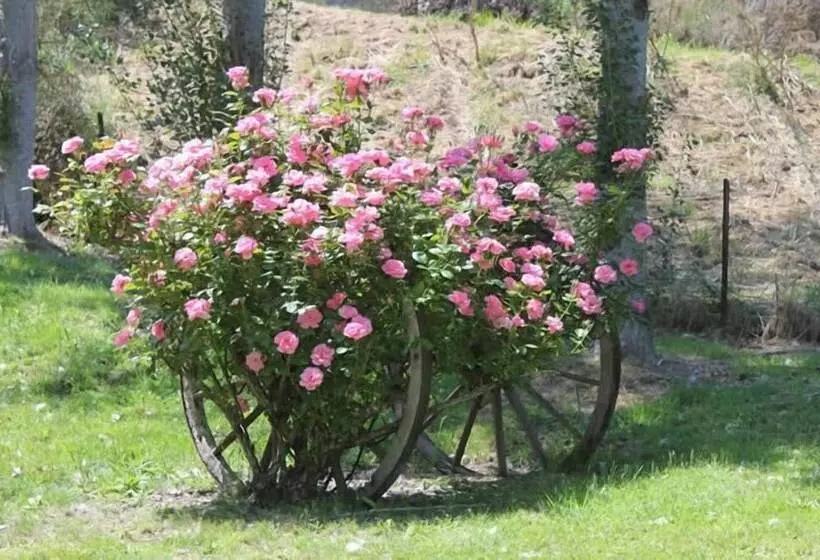 Отель Motueka River Lodge