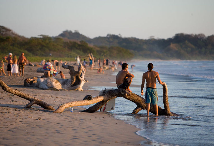 Отель The Harmony