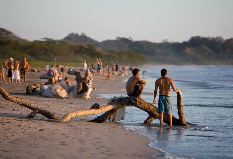 فندق The Harmony