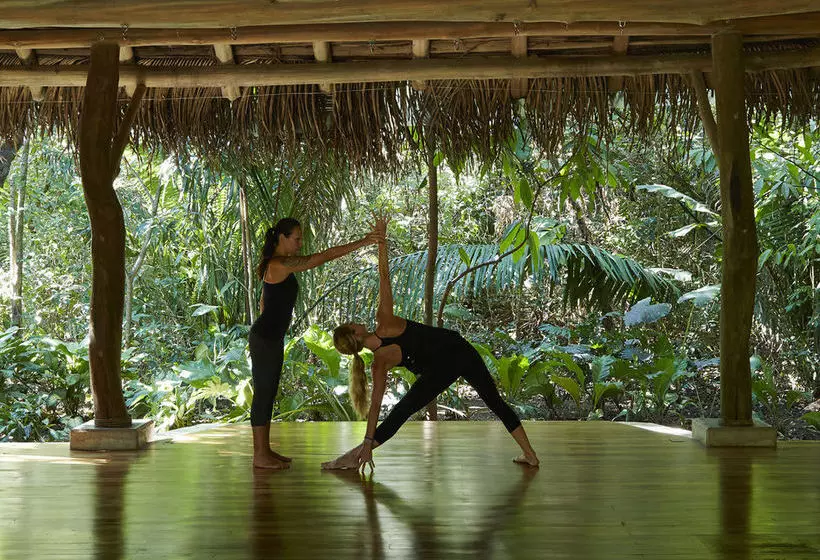 فندق The Harmony