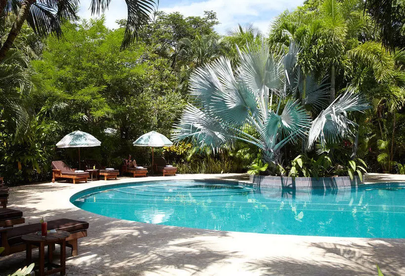 فندق The Harmony