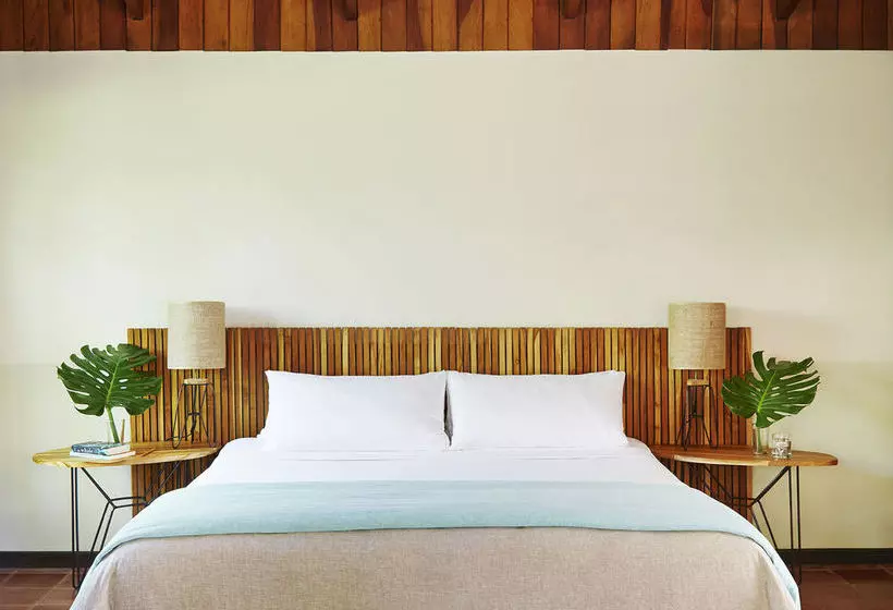 فندق The Harmony