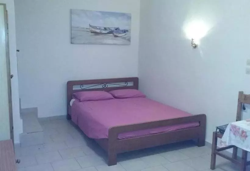 Kitesurf Paradise Studios