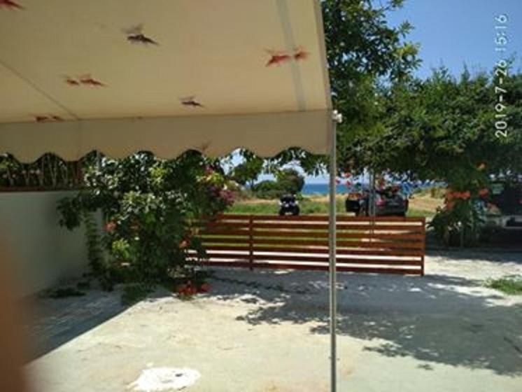 Kitesurf Paradise Studios