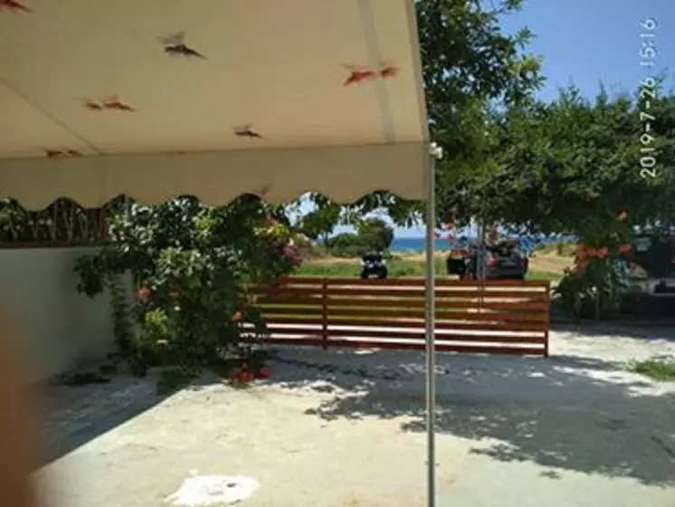 Kitesurf Paradise Studios