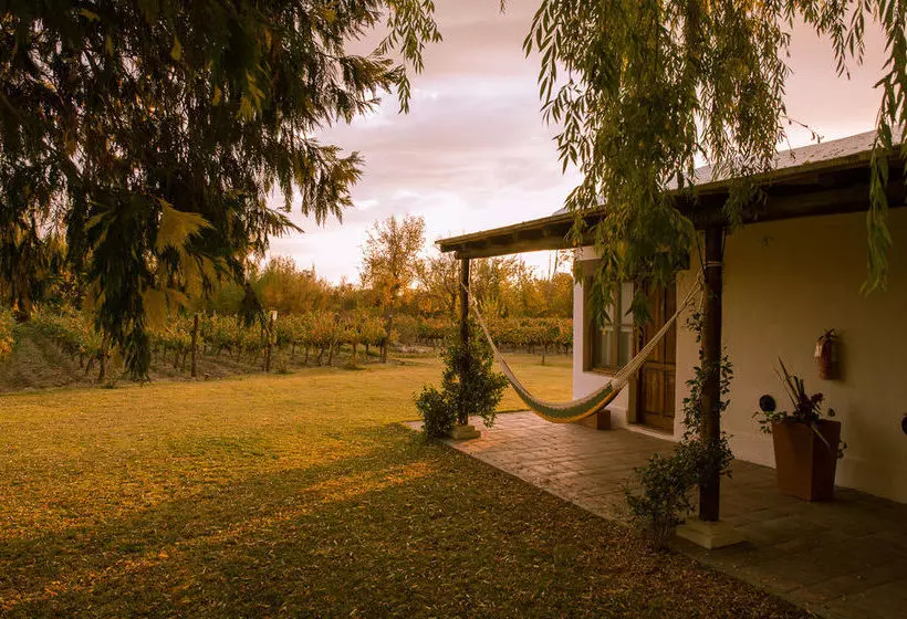 Postales Boutique Winery Hotel Valle De Uco