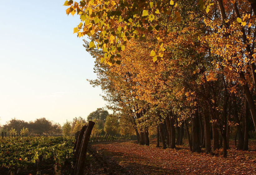 Postales Boutique Winery Hotel Valle De Uco