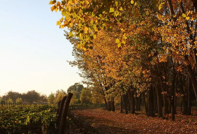 Postales Boutique Winery Hotel Valle De Uco