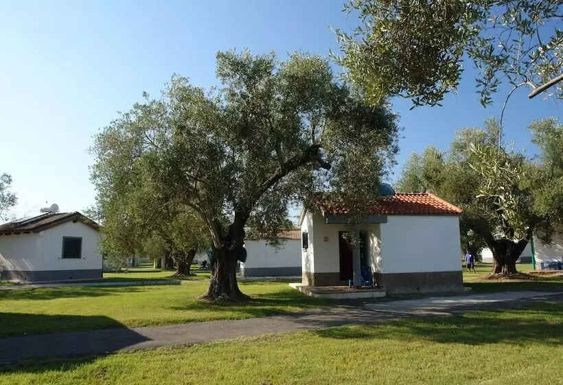 Курорт Villaggio Turistico Elea