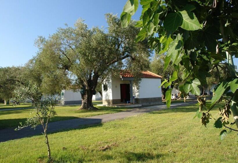 리조트 Villaggio Turistico Elea