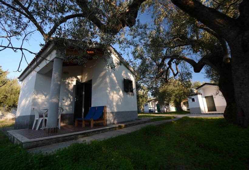 리조트 Villaggio Turistico Elea