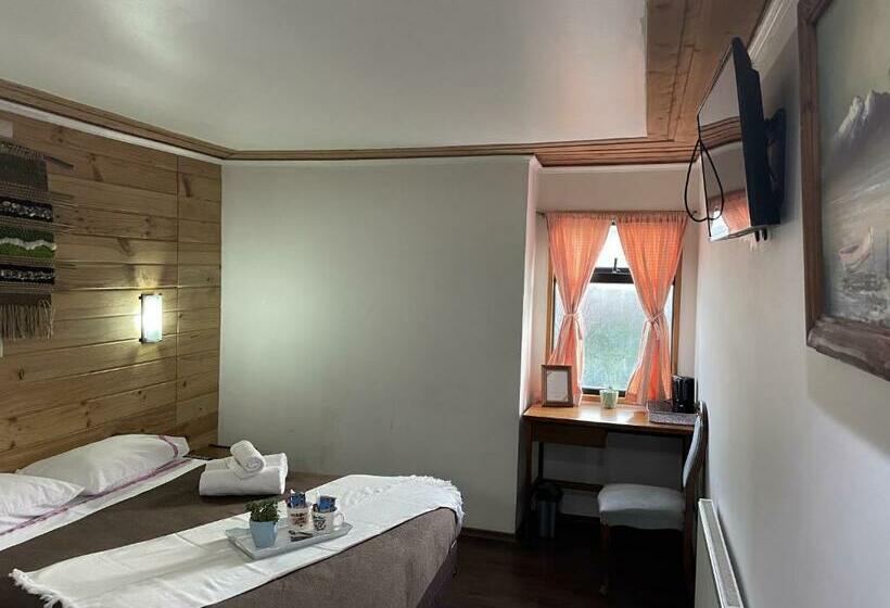 פנסיון 3 Arriendo Habitación Doble Con Baño Privado De Ex