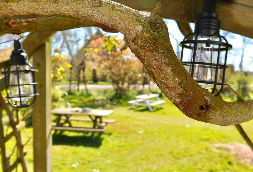 פנסיון De Witte Handt