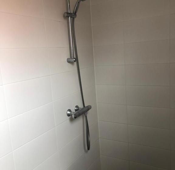 פנסיון De Witte Handt