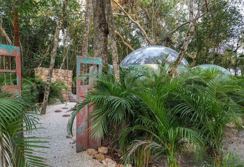 בית מלון כפרי Oom Bubble Boutique Riviera Cancun Adults Only