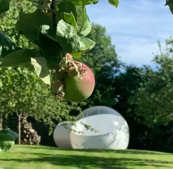 ペンション Maisons D Hôtes   Domaine Le Coq Enchanté