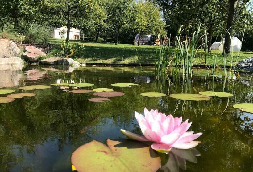 Пансион Maisons D Hôtes   Domaine Le Coq Enchanté