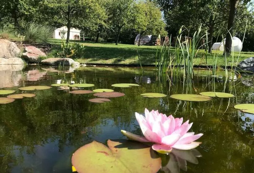 ペンション Maisons D Hôtes   Domaine Le Coq Enchanté