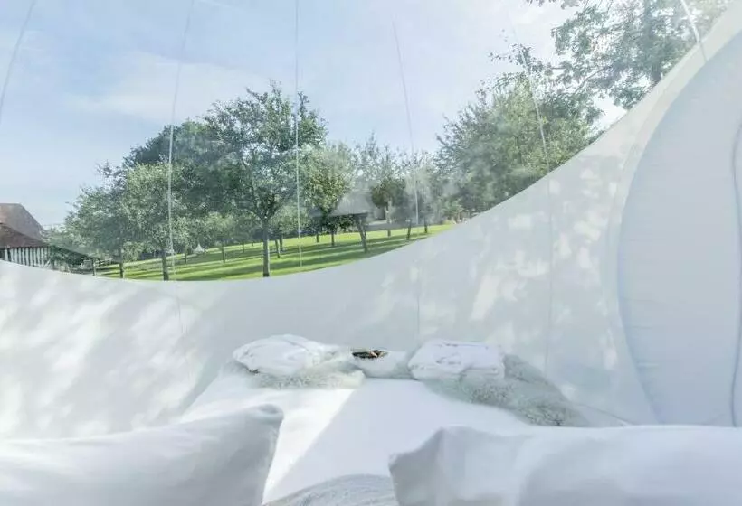 ペンション Maisons D Hôtes   Domaine Le Coq Enchanté