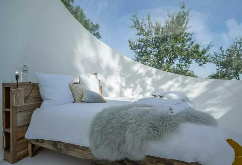 ペンション Maisons D Hôtes   Domaine Le Coq Enchanté