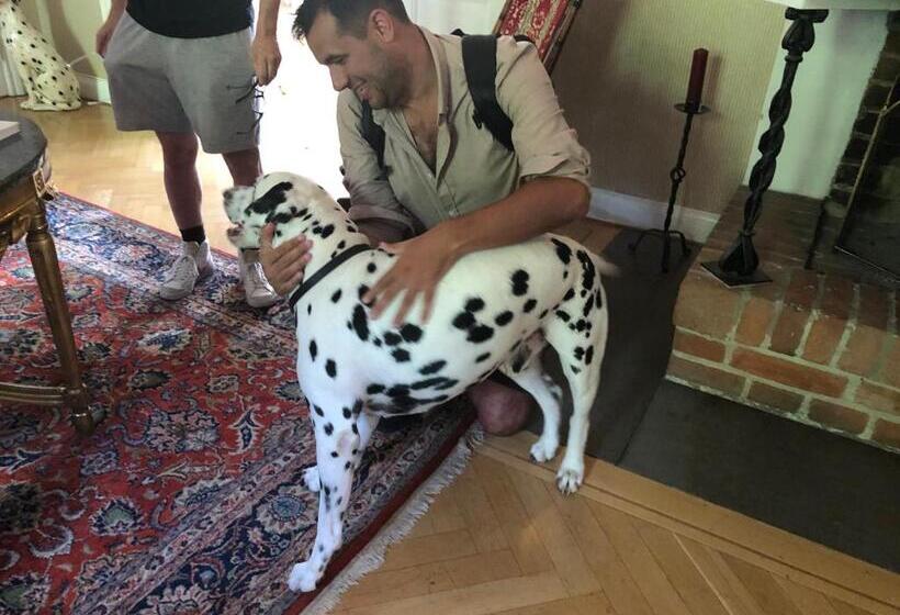 تختخواب و صبحانه Herrgårds Hotell Gyllene Hästen