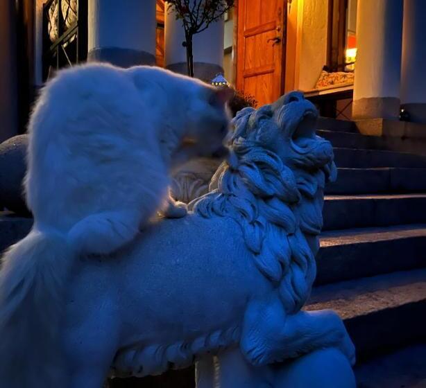 تختخواب و صبحانه Herrgårds Hotell Gyllene Hästen