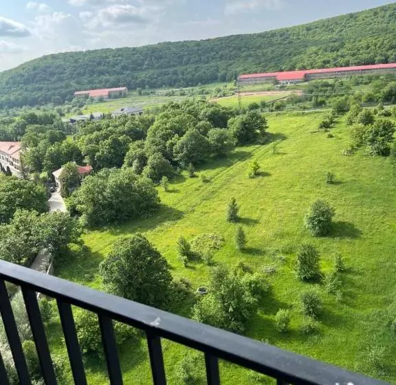 цахкадзор, Tsaxkadzor, Kechi House Apartment 300