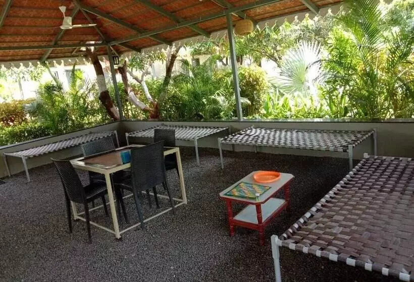 Lion Signature Family Resort