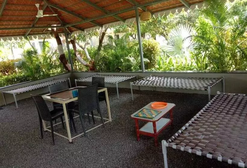 Lion Signature Family Resort