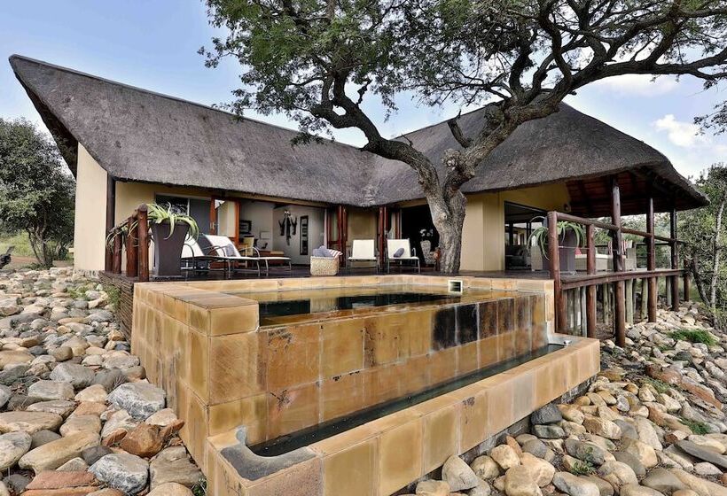 Amakhosi Safari Lodge And Spa