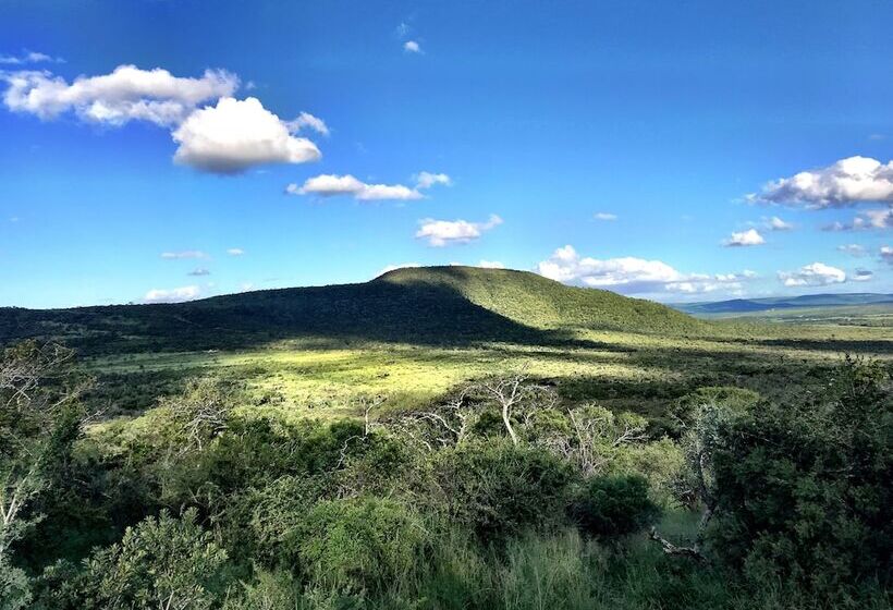 Amakhosi Safari Lodge And Spa