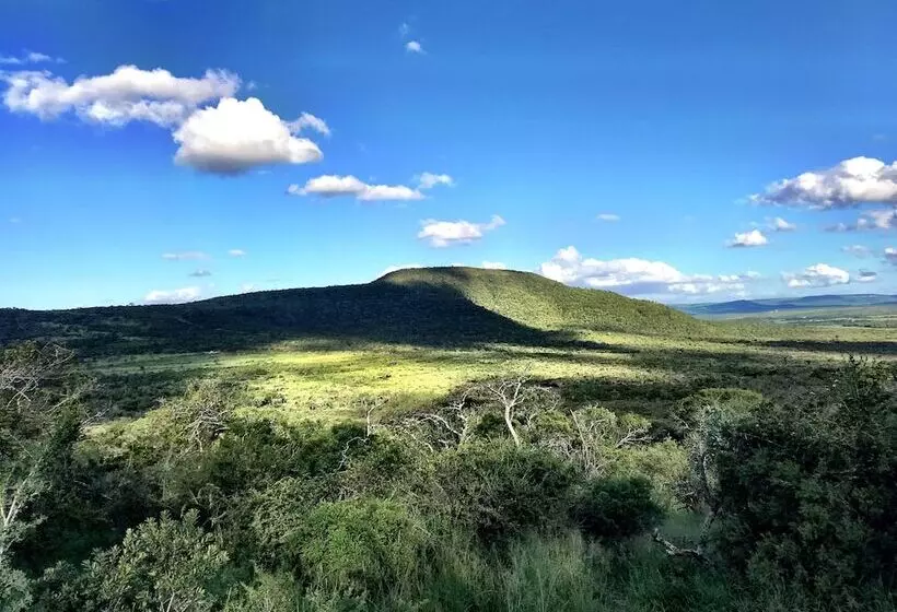 Amakhosi Safari Lodge And Spa