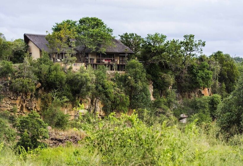 Amakhosi Safari Lodge And Spa