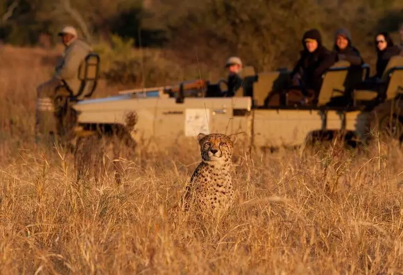 Amakhosi Safari Lodge And Spa