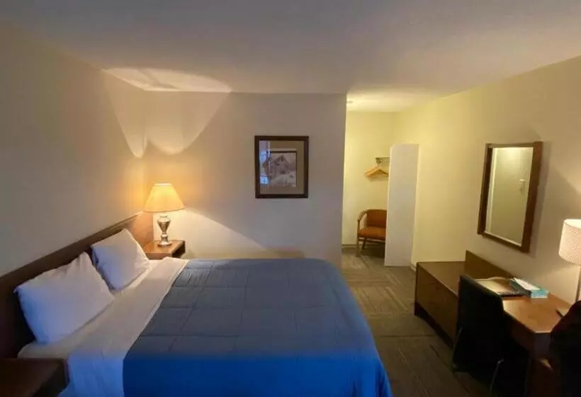 Otel Houston Motor Inn