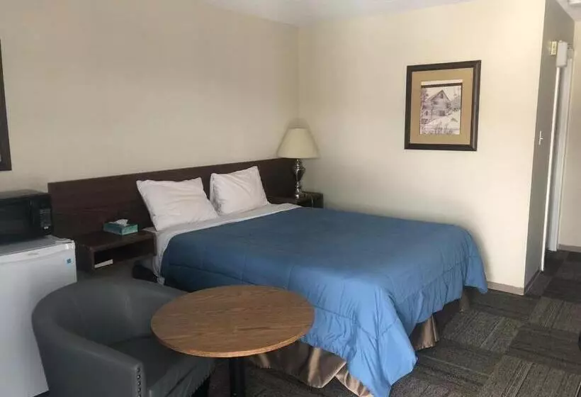 Otel Houston Motor Inn