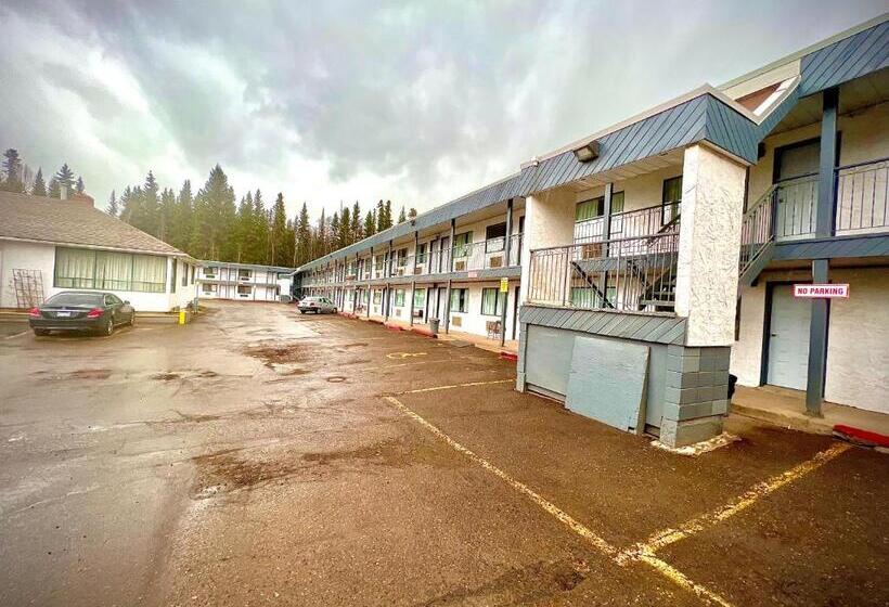 酒店 Houston Motor Inn