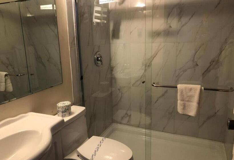 酒店 Houston Motor Inn