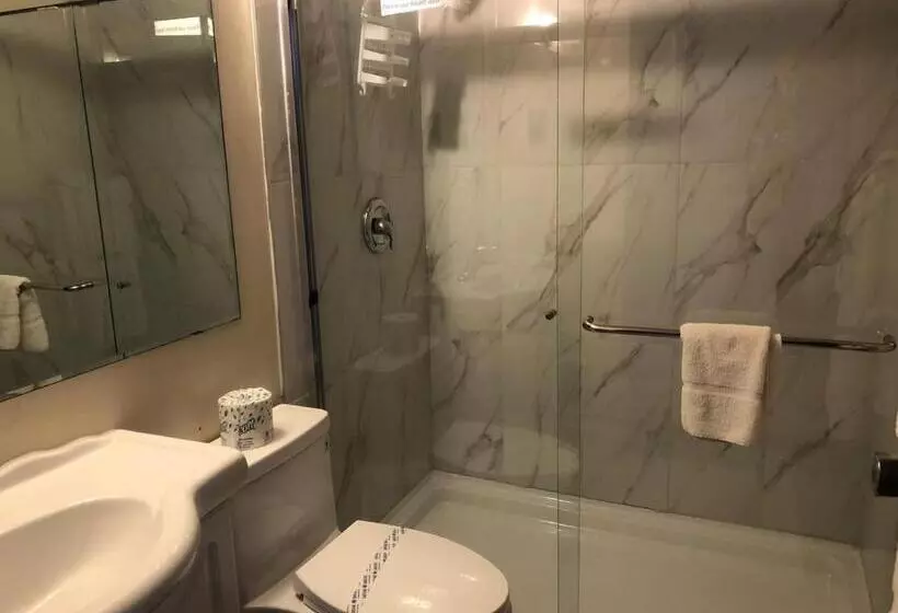 Otel Houston Motor Inn