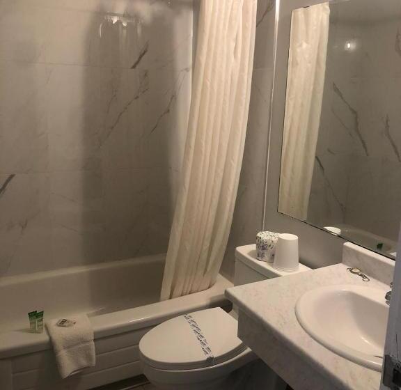 酒店 Houston Motor Inn