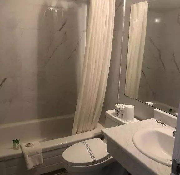 Otel Houston Motor Inn