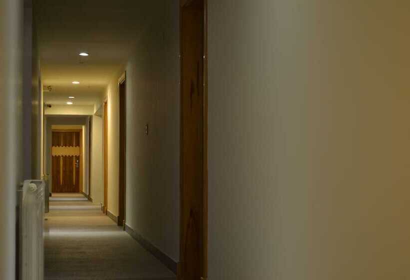 Hotel Plaza Paradiso Petit