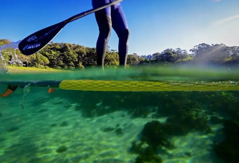 汽车旅馆 Kiama Shores