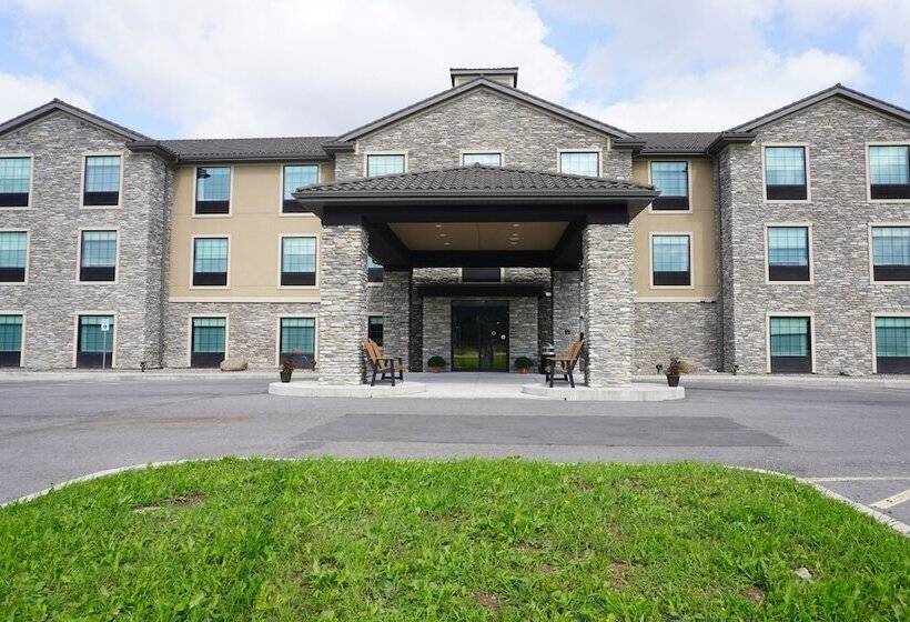 酒店 Comfort Inn & Suites